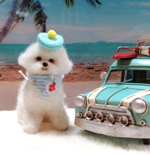 羊毛フェルト ビションフリーゼ 犬 ハンドメイド ミニチュア