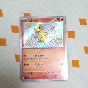 ☆傷あり特価☆ヒトカゲ S