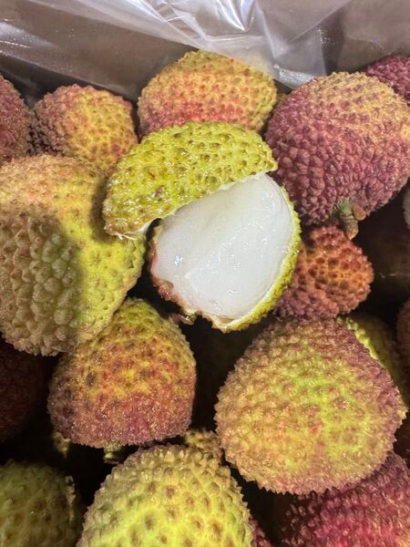 妃子笑ライチ2kgクール便で発送