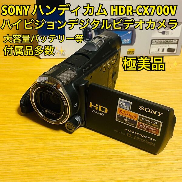 【極美品・付属品多数】ソニー SONY ハンディカム ハイビジョンデジタルビデオカメラ 96GB ブラック HDR-CX700V