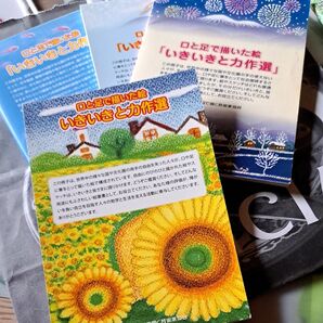保管品…絵はがき口と足で描いた絵 いきいきと力作選
