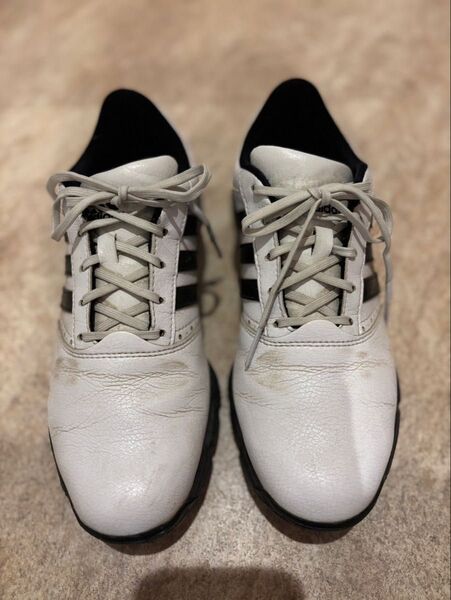 adidas アディダス ゴルフシューズ EVM004001 25