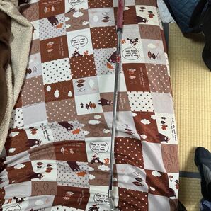 ツアーステージ パター