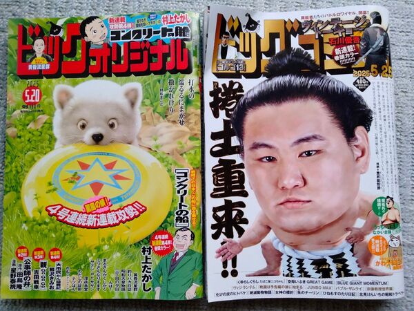 2冊セット ビッグコミックオリジナル ビックコミック 2025年 10