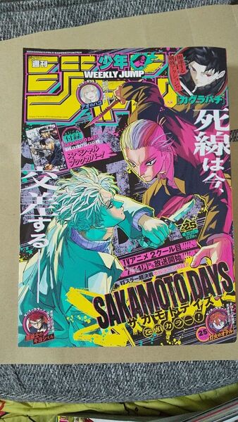 週刊少年ジャンプ 2025年 25 付録ブックカバーあり
