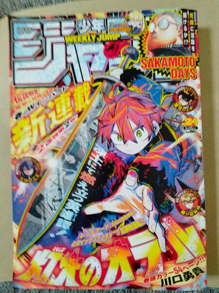 週刊少年ジャンプ 2025年 24