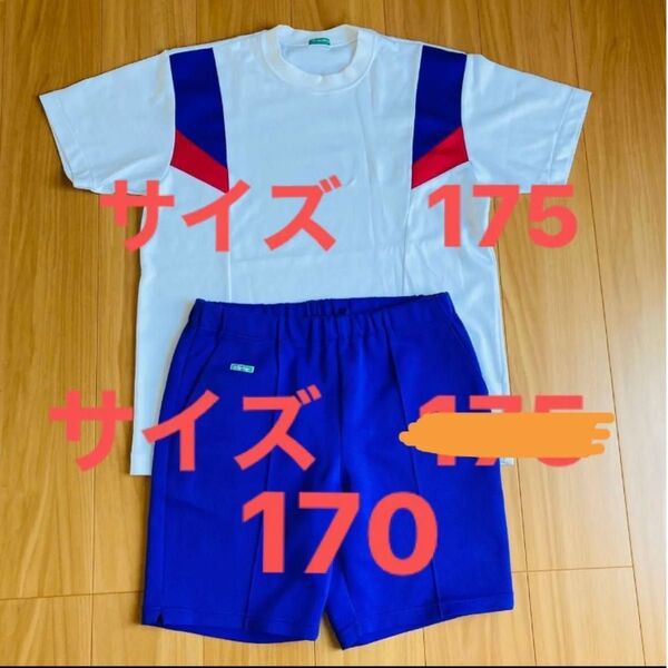 上下セット ハーフパンツ 体操着 半袖 体操服 ジャージ Tシャツ 指定品 上下 セット スポーツ 部屋着