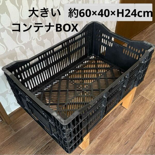 ☆大きいコンテナBOX☆約60×40×高さ24cm