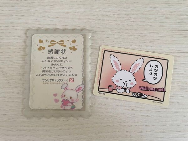 サンリオ ウィッシュミーメルセット