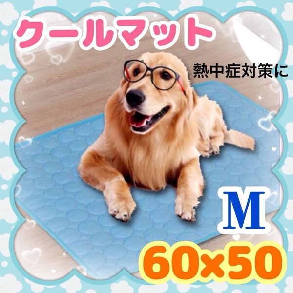 クールマット 犬 猫 うさぎ 接触冷感 ひんやり マット 冷却 熱中症対策 洗濯可能 通気性 Mサイズ 60×50 安心 清潔