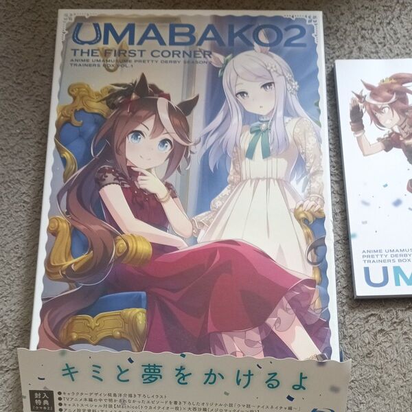 ウマ箱2 THE FIRST CORNER 特典付き ブルーレイディスク ウマ娘