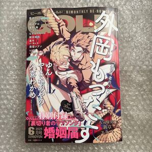 ビーボーイゴールド BE BOY GOLD 6月号 外岡もったす 昼寝シアン