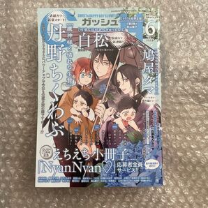 GUSH ガッシュ 6月 百瀬あん 丹野ちくわぶ 鳩屋タマ 美山薫子
