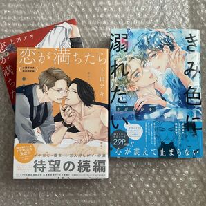 上田アキ さがのひを 恋が満ちたら きみ色に溺れたい 特装版 特典 小冊子