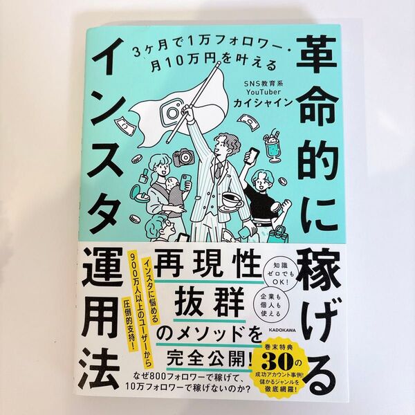 値下げ!革命的に稼げるインスタ運用法