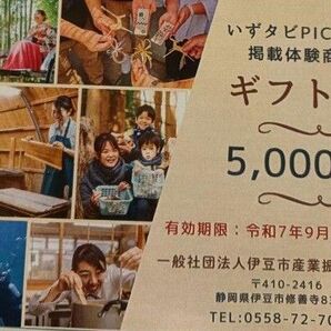 ハンドメイド 静岡県 伊豆市 限定 ギフト券 5000円分 (シュノーケリング、しいたけ狩り、ダイビングなどの自然体験可能!)