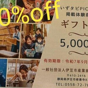 ハンドメイド 静岡県 伊豆市 限定 ギフト券 5000円分 (シュノーケリング、しいたけ狩り、ダイビングなどの自然体験可能!)