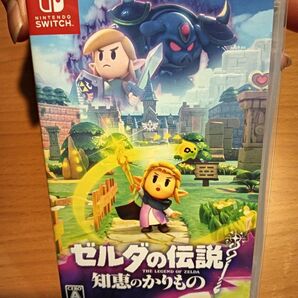 ゼルダの伝説 知恵のかりもの Nintendo Switch ニンテンドースイッチ Switchソフト 任天堂 ゼルダ