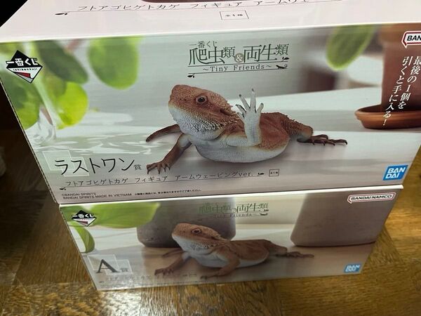 爬虫類 両生類 一番くじ フィギュア A賞 ラストワン賞 フトアゴヒゲトカゲ セット