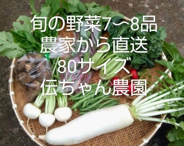 農家から直送 旬の野菜7-8品 農薬不使用栽培 80サイズ箱 伝ちゃん農園