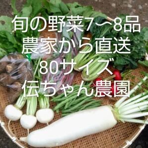 農家から直送 旬の野菜7-8品 農薬不使用栽培 80サイズ箱 伝ちゃん農園