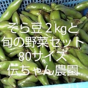 そら豆2キロと旬の野菜セット 80サイズ 伝ちゃん農園
