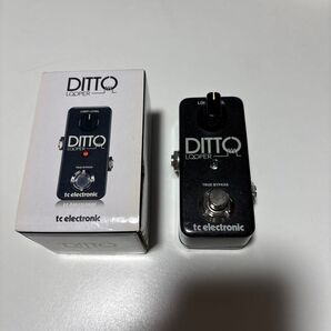 tc electronic ditto looper