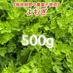 新鮮 よもぎ 香味・薬味野菜500g