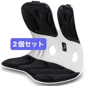 2点セット 姿勢矯正 椅子 クッション 洗える 座椅子 バランスチェア