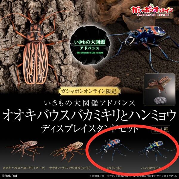 ガシャポンオンライン限定『いきもの大図鑑アドバンス ハンミョウ(レッド&イエロー) ディスプレイスタンドセット』