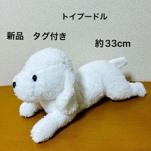 くつろぎ わんこ トイプードル ぬいぐるみ