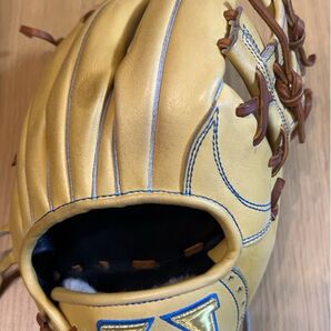 ハイゴールド 硬式グローブ 内野用 最上級グレード「技極」