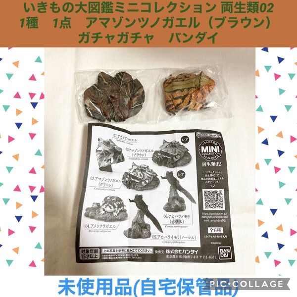 いきもの大図鑑 ミニコレクション 両生類02 1種 1点 アマゾンツノガエル(ブラウン)ガチャガチャ バンダイ フィギュア