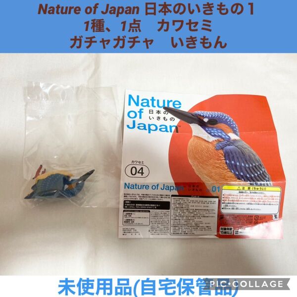 Nature of Japan 日本のいきもの 1点 カワセミ ガチャガチャ いきもん ネイチャーテクニカラー フィギュア