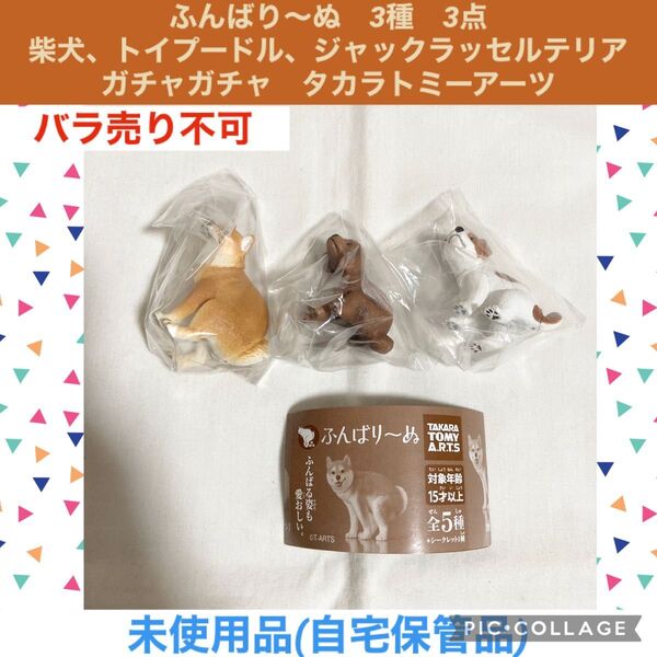 ふんばり~ぬ 3種 3点 柴犬 トイプードル ジャックラッセルテリア ガチャガチャ タカラトミーアーツ フィギュア カプセルトイ