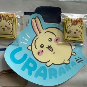 うさぎ セット売り