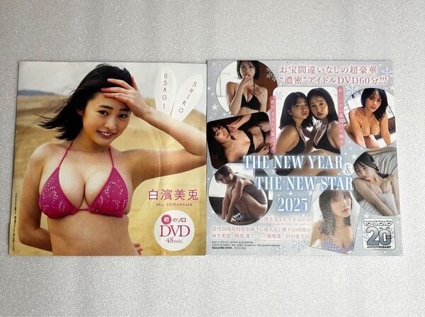 【新品未開封】白濱美兎さん、佐々木ほのか週プレ、ヤングガンガン付録DVD※注意事項 画像3、4を参照 余白を折って郵送します。