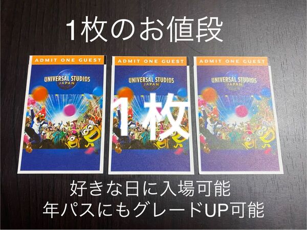 【1枚のお値段】USJ 入場券 チケット ユニバーサルスタジオジャパン パートナーパス 除外日無し 未使用 新品