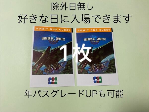 【1枚のみ】USJ 入場券 チケット ユニバーサルスタジオジャパン パートナーパス 除外日無し 未使用 新品