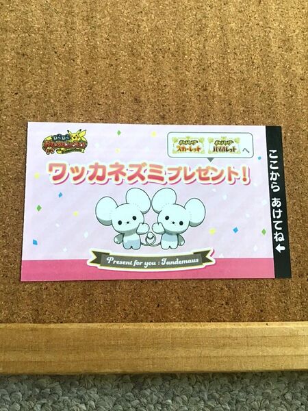 ポケモン ワッカネズミ 未使用