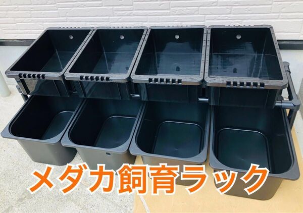 メダカ飼育ラック ブラック 【接着剤付き】 NVBOX13 8個置けます