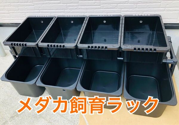 メダカ飼育ラック ブラック 【接着剤付き】 NVBOX13 8個置けます