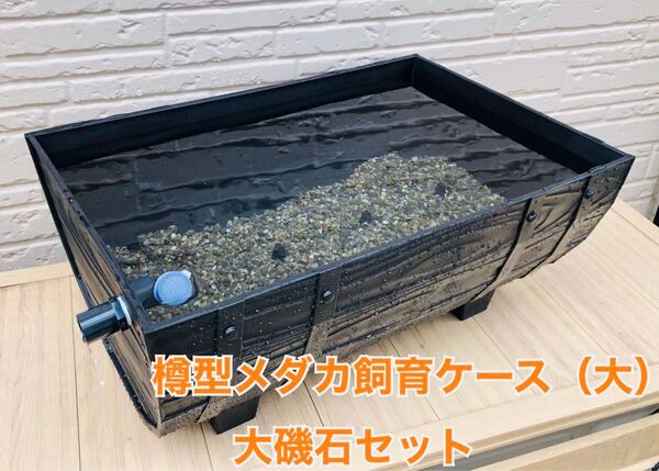樽型メダカ飼育ケース【大】大磯石と赤玉土セット