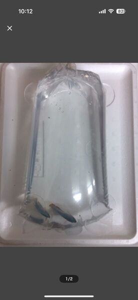 観賞魚用ポリ袋 厚さ0.06×幅180×長さ450mm100枚セット R18 熱帯魚 金魚 海水魚 水草 メダカ 厚手タイプ