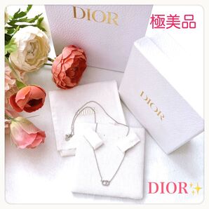 極美品 DIOR ネックレス CD ロゴ シルバー Clair D Lune クリスチャンディオール ChristianDior