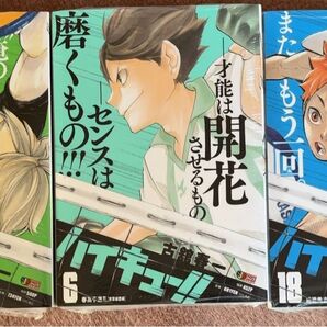 ハイキュー リミックス アニメイト特典付き