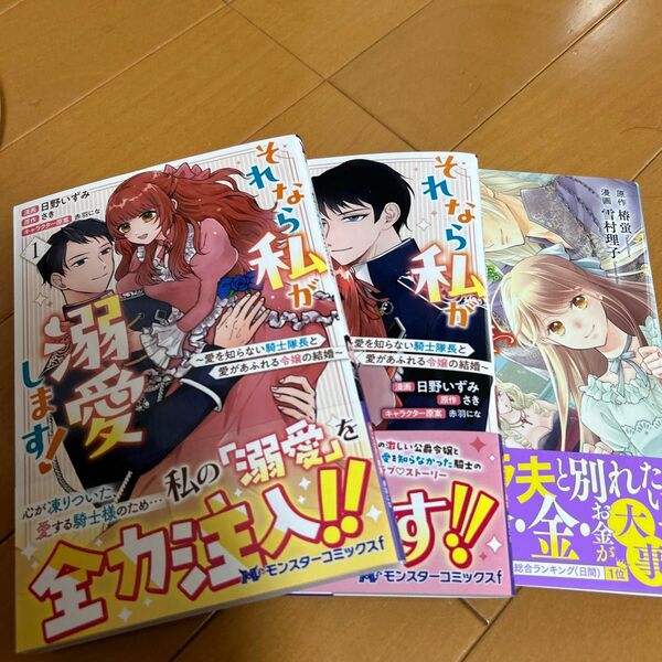 それなら私が溺愛します!~愛を知らない騎士隊長と愛があふれる令嬢の結婚~ 1〜2巻セット
