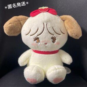 mikko いちごbigぬいぐるみ スフレ いぬ
