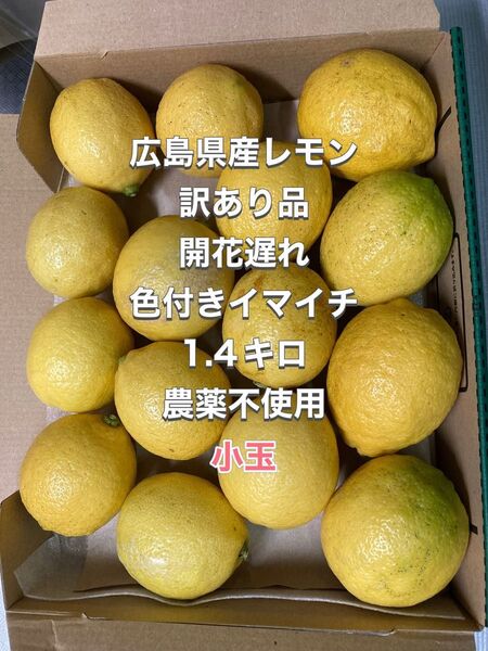 広島県産レモン訳あり品1.4キロ 農薬不使用