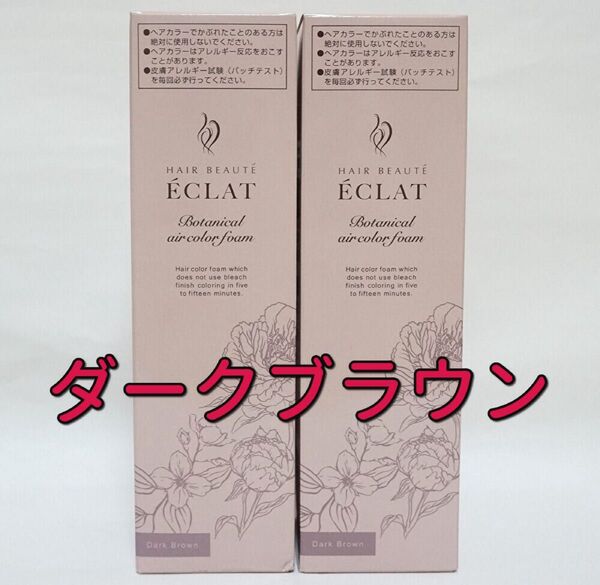ヘアボーテ エクラ ボタニカルエアカラーフォームup ダークブラウン 150g 2本セット 白髪染め ヘアカラー フューチャーラボ